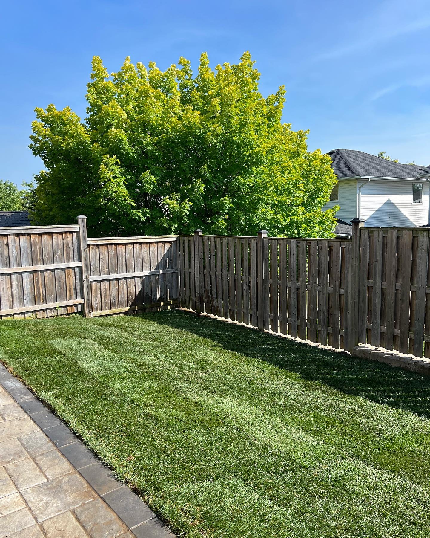 Swipe ➡️ to see the transformation of this 650 SqFt backyard we sodded today in Guelph! We spent a lot of time terraforming the existing vegetation and grading as the backyard was very uneven. We got @thiara_contracting to design and build a beautifu