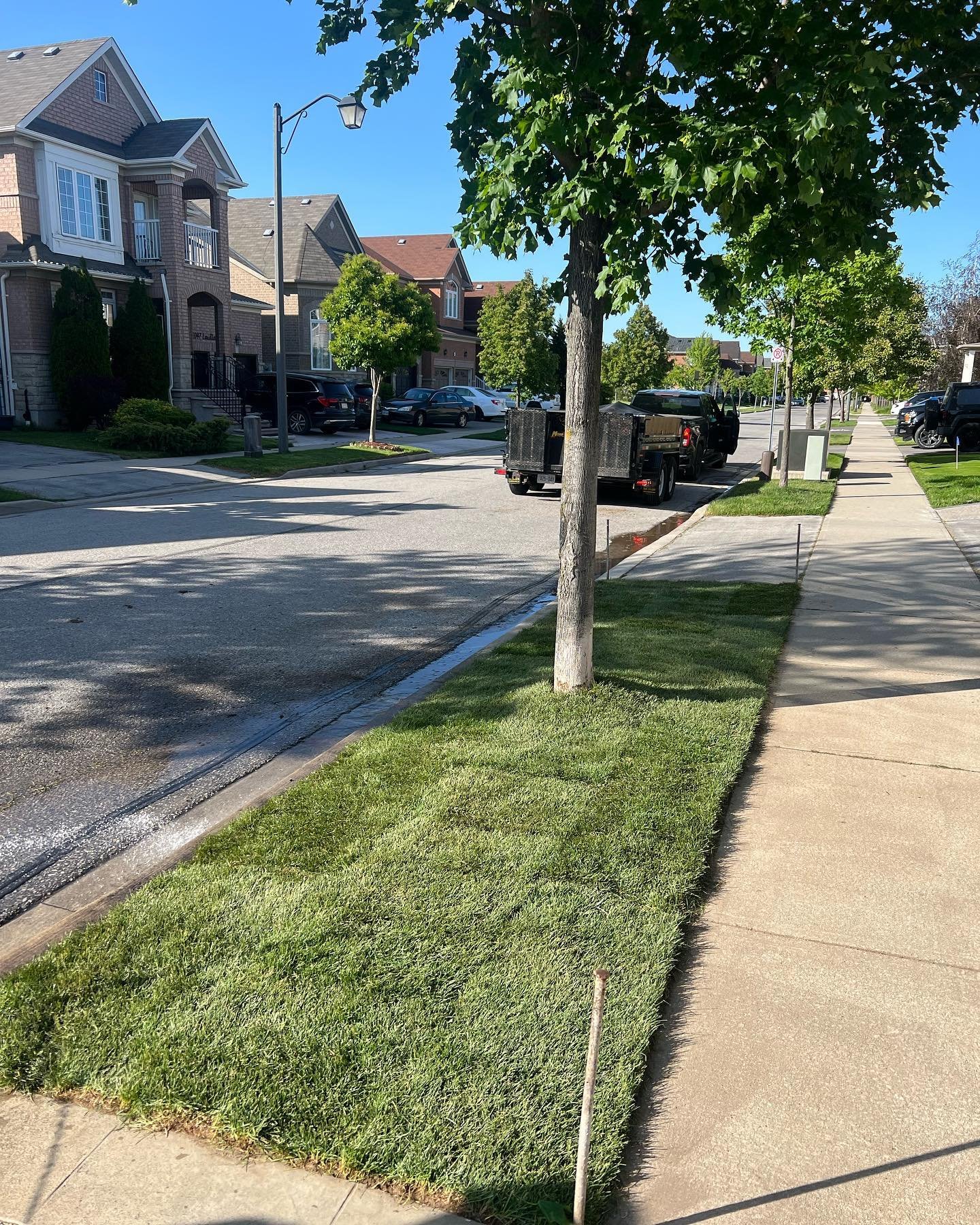 Swipe ➡️ to see pictures of a 100 SqFt boulevard we sodded on Wednesday in Milton!