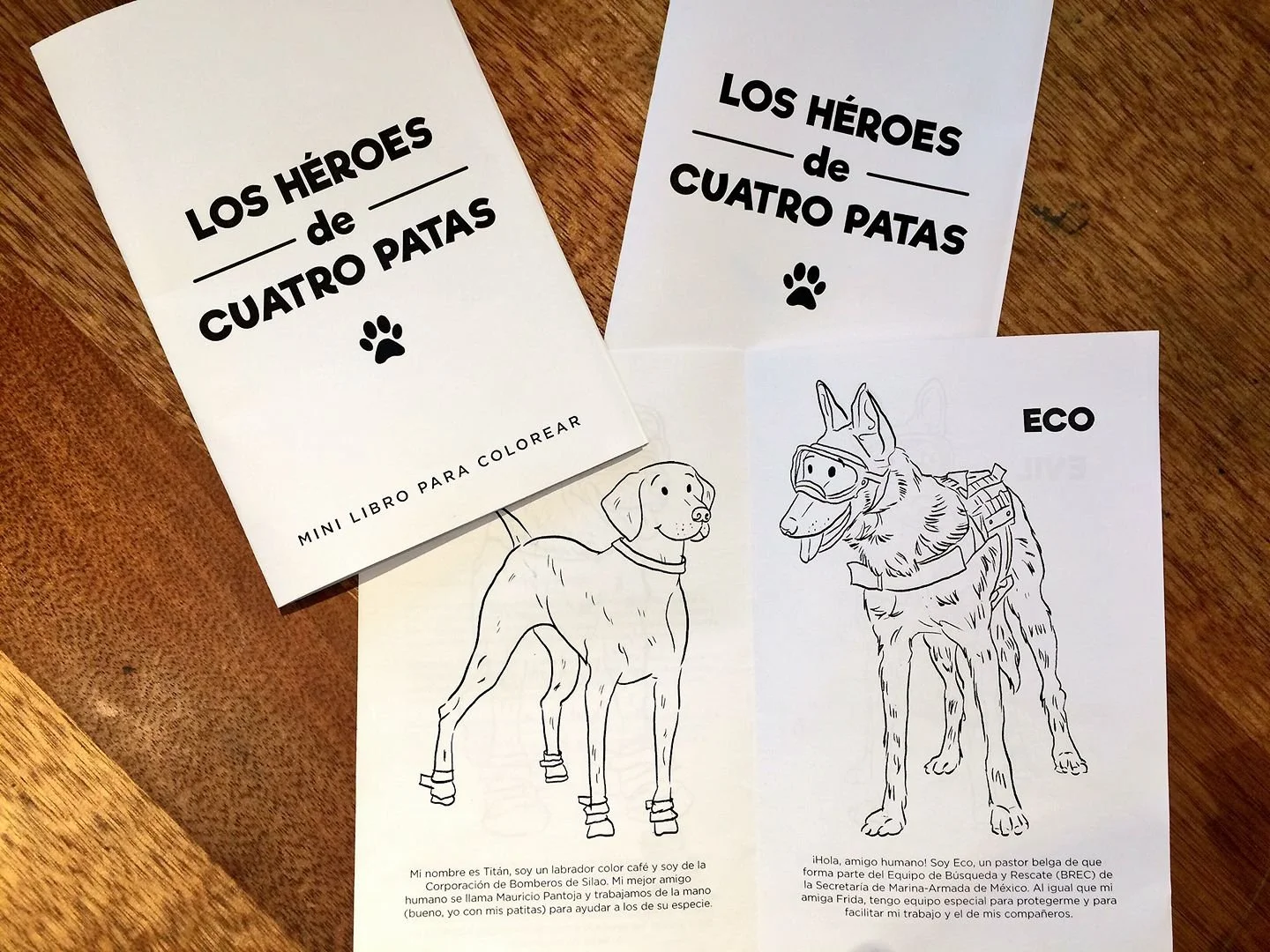 3 printed copies of "The Four Legged Heroes" in its Spanish version
