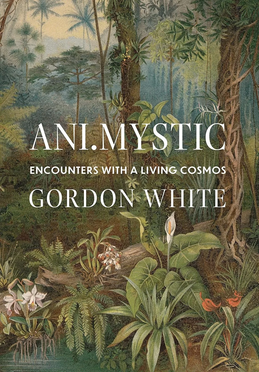 Ani.Mystic: Encounters with a Living Cosmos 