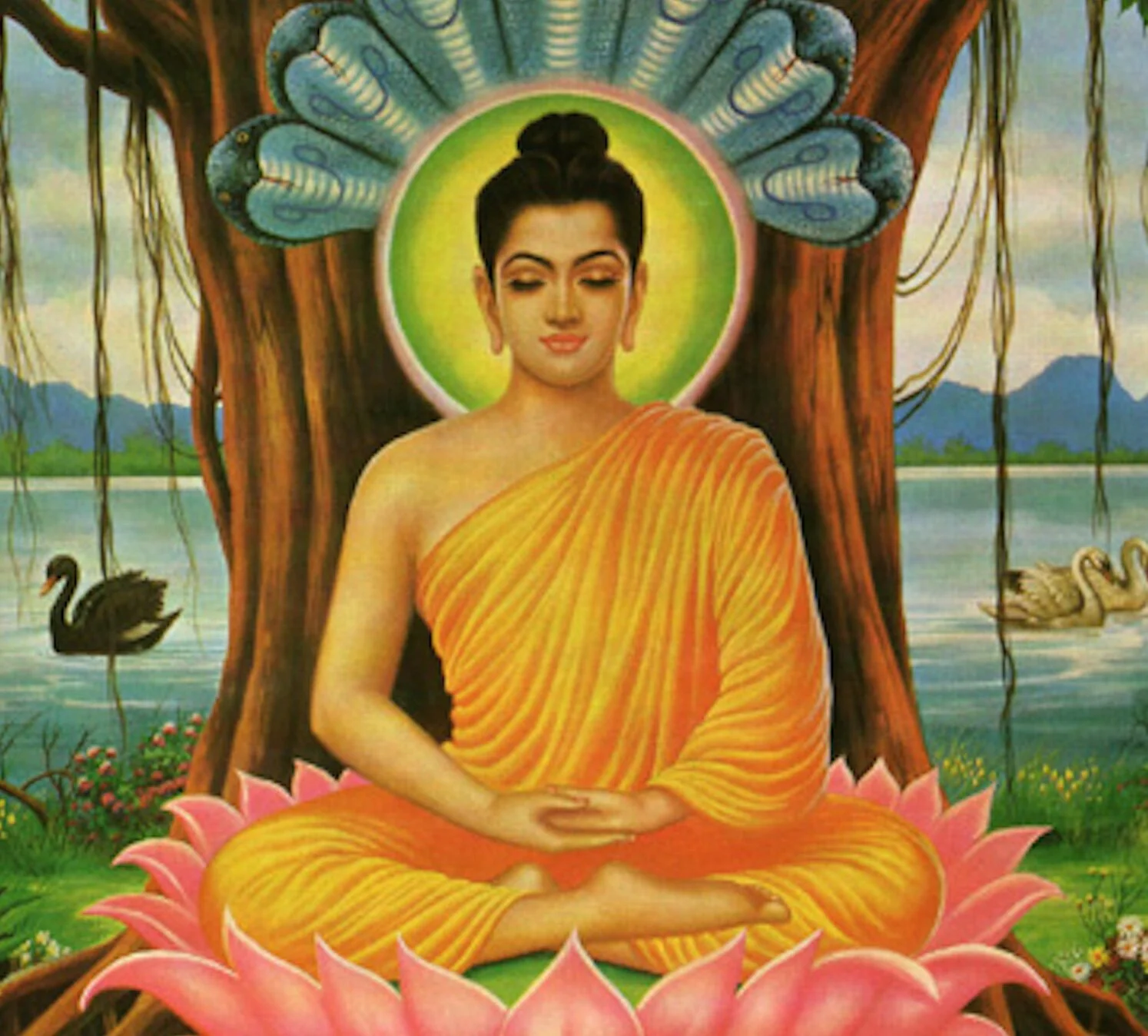 Begin to Meditate: It Will Change Everything