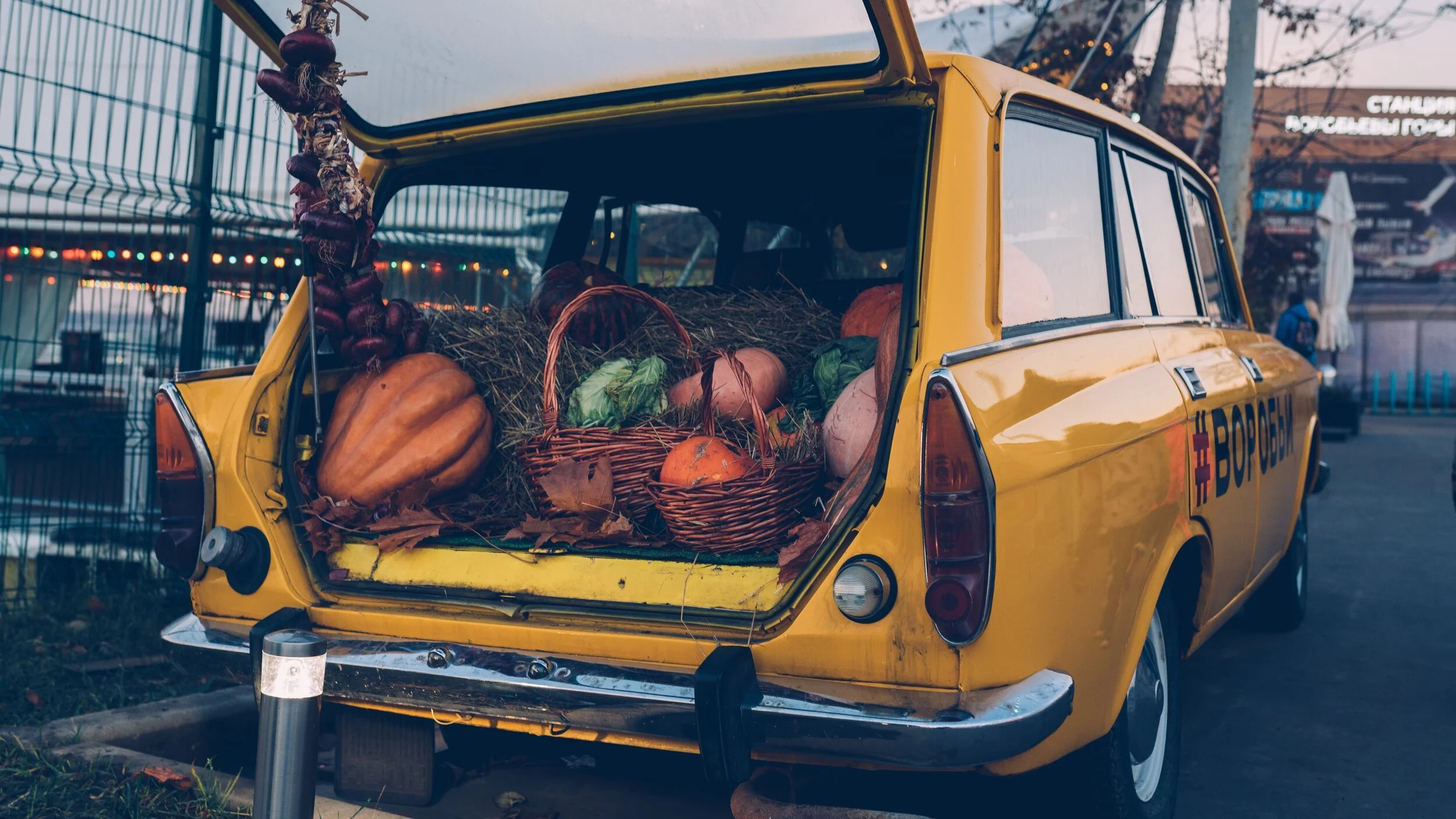 The Fall Equinox Season - Things to do in Times of Trouble
