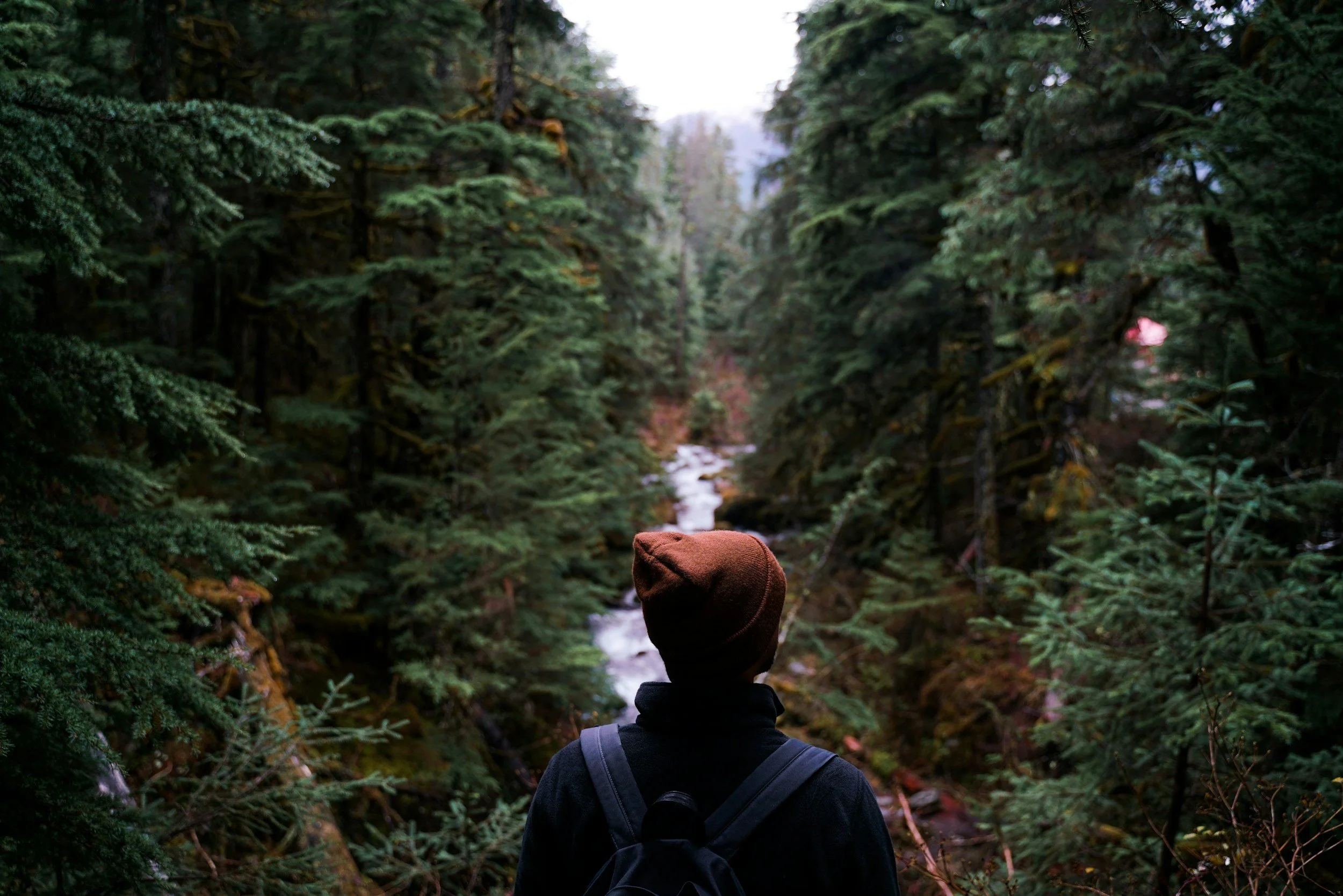 Awakening Sleeping Beauty : Unpacking My Vision Quest