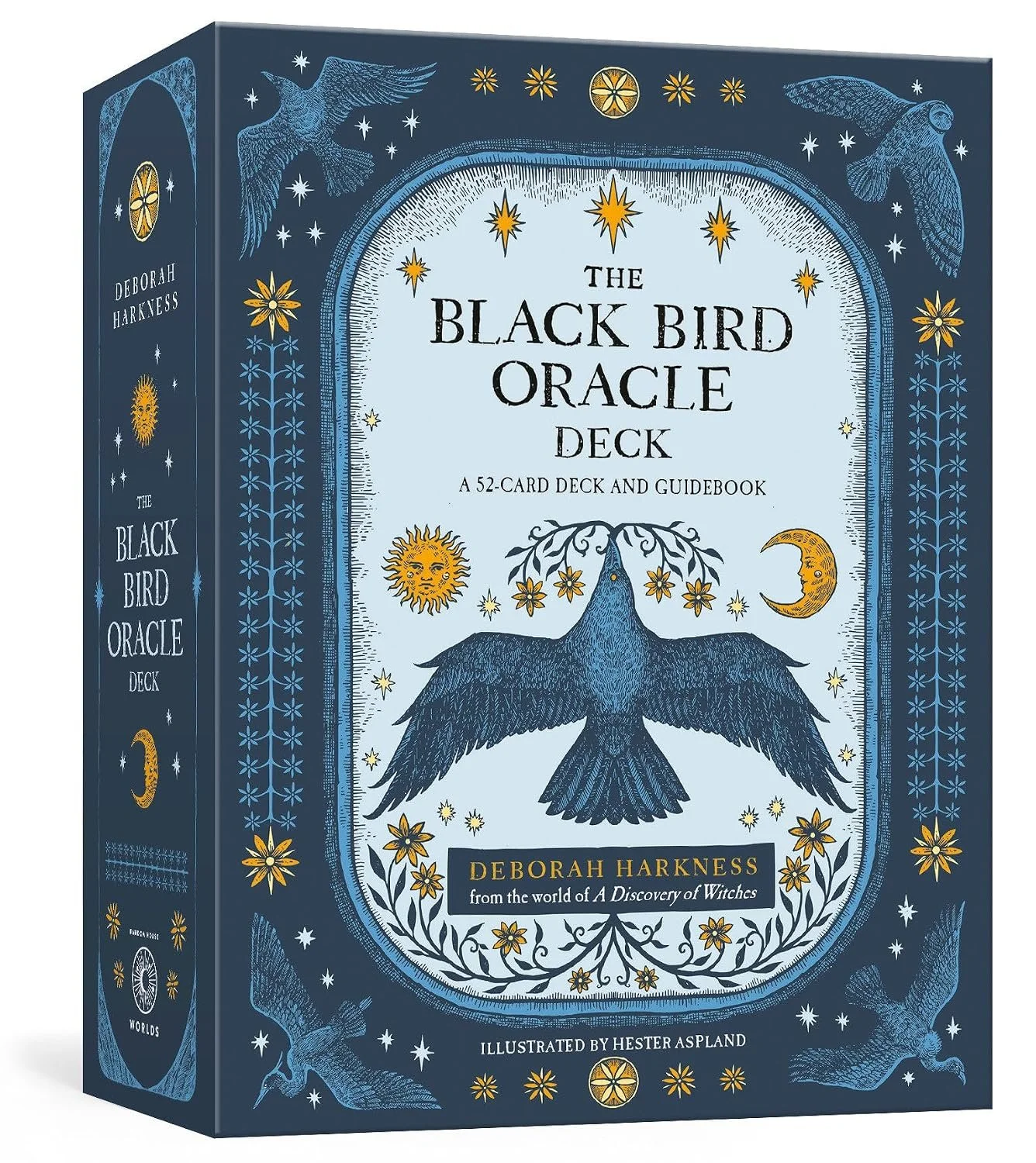 The Black Bird Oracle Deck