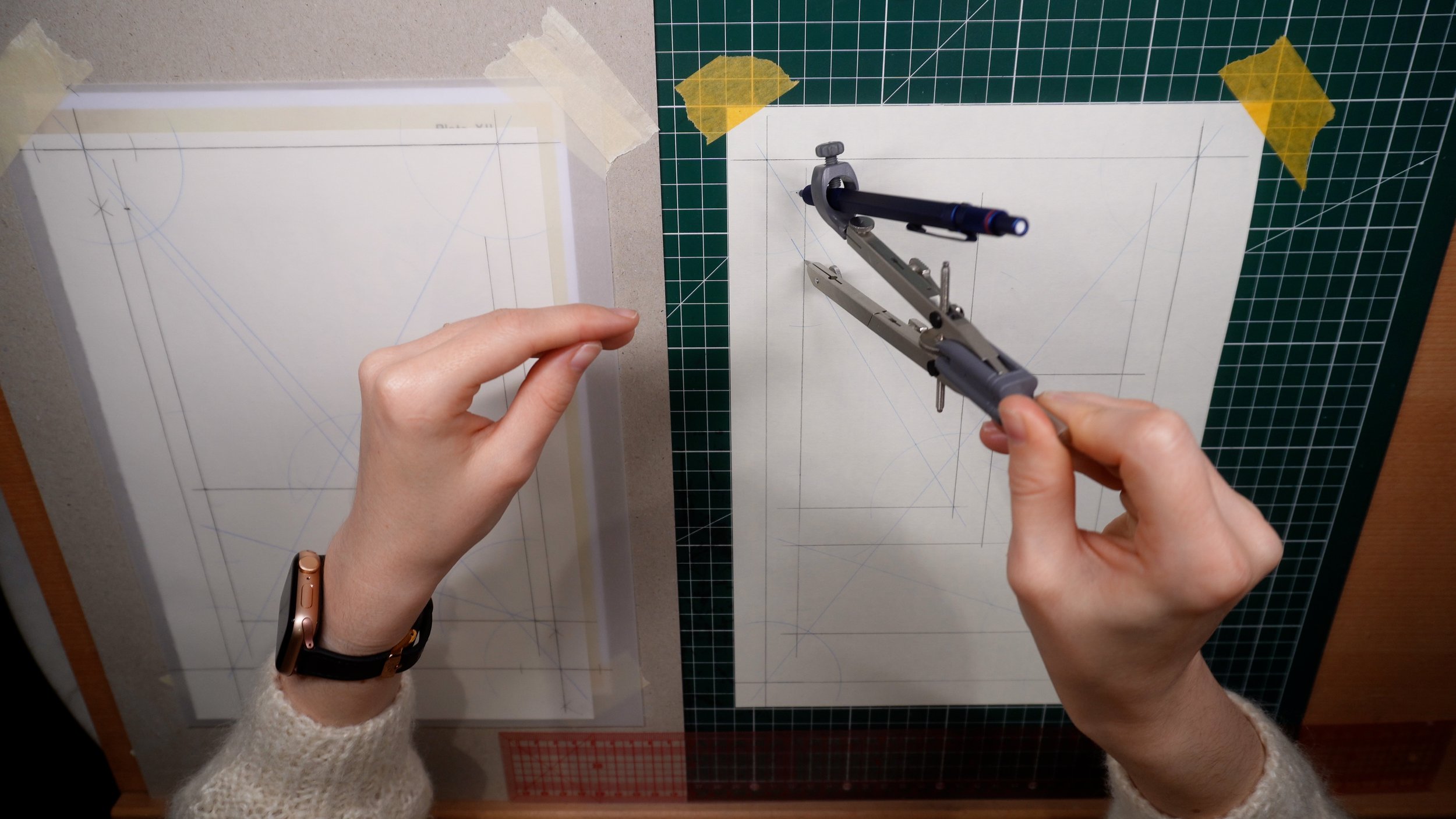 Nature Drawing and Design Plate XII - 1/5 - Setting Up and Starting to Draw