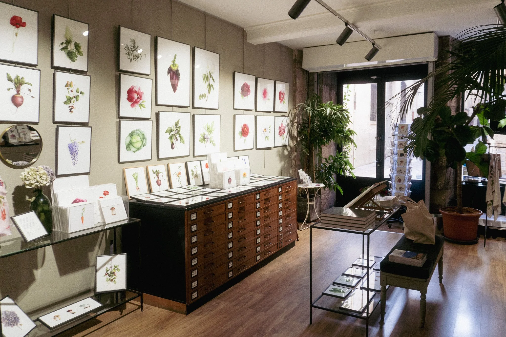 Notes From My First Botanical Watercolour Workshop