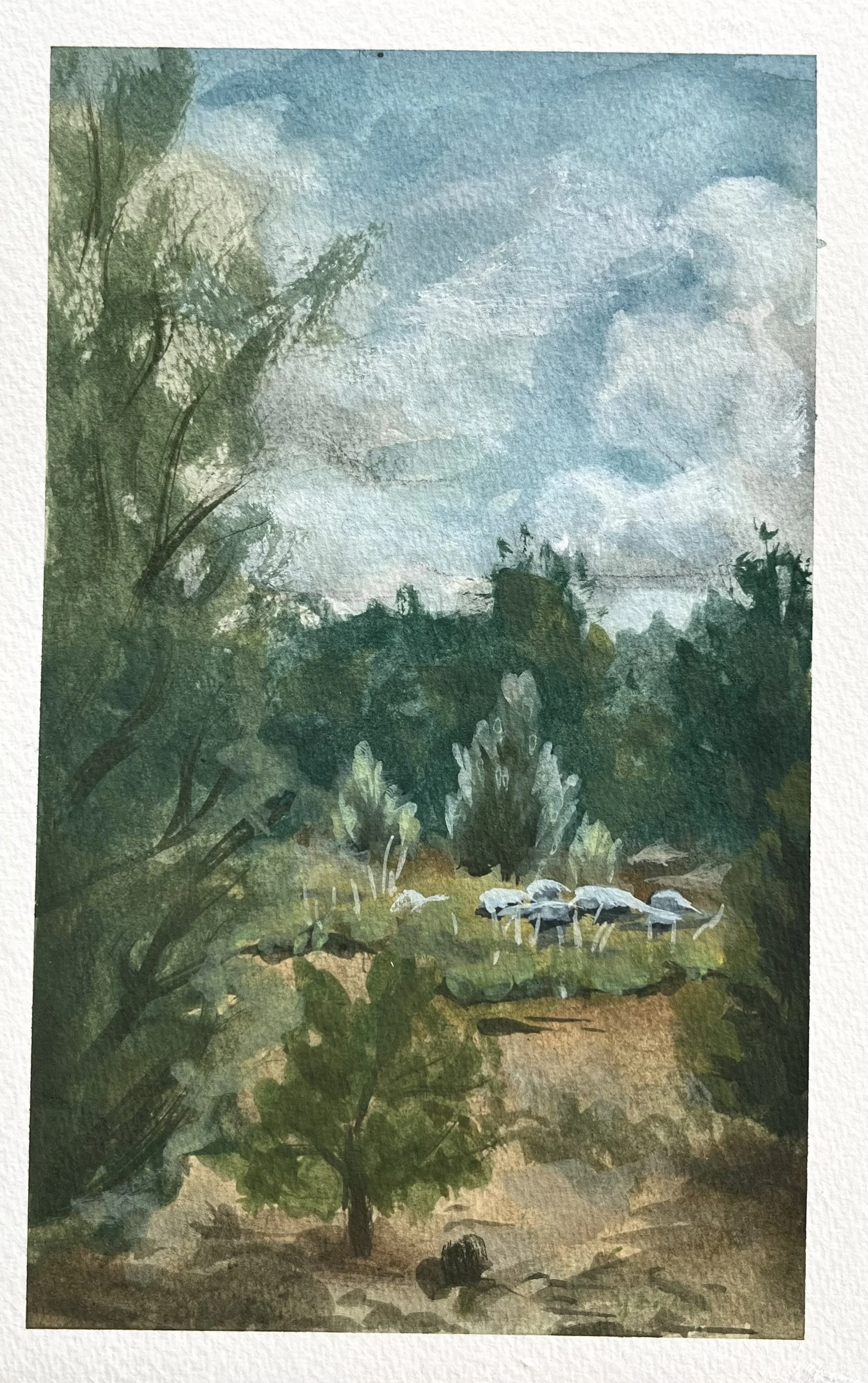 Colorado Landscape 4 (2025), gouache on paper