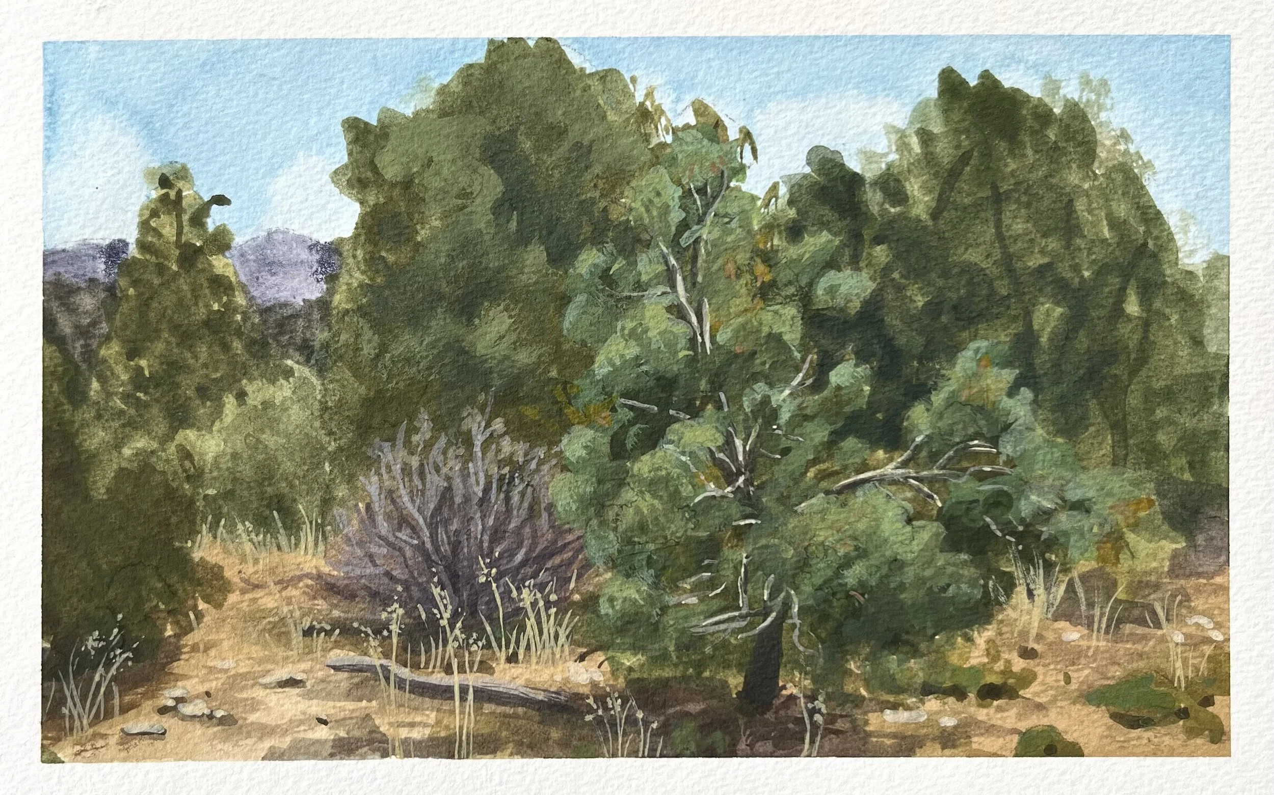 Colorado Landscape 3 (2025), gouache on paper