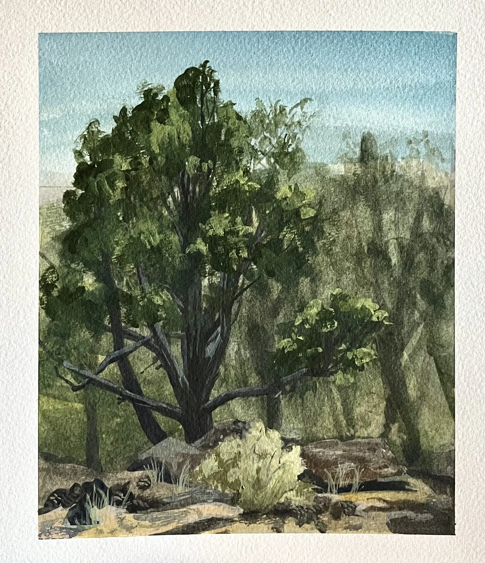 Colorado Landscape2 (2025), gouache on paper