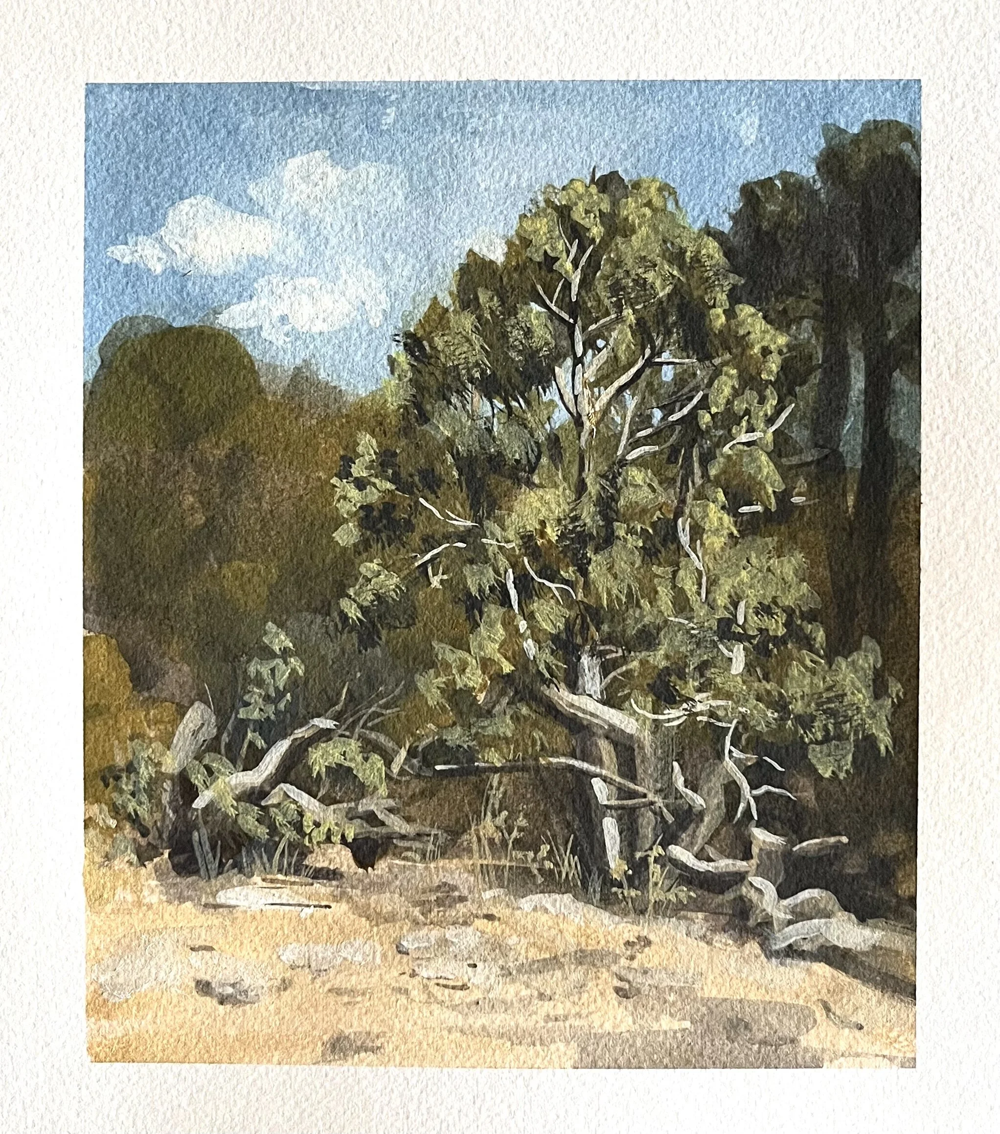 Colorado Landscape 1 (2025), gouache on paper