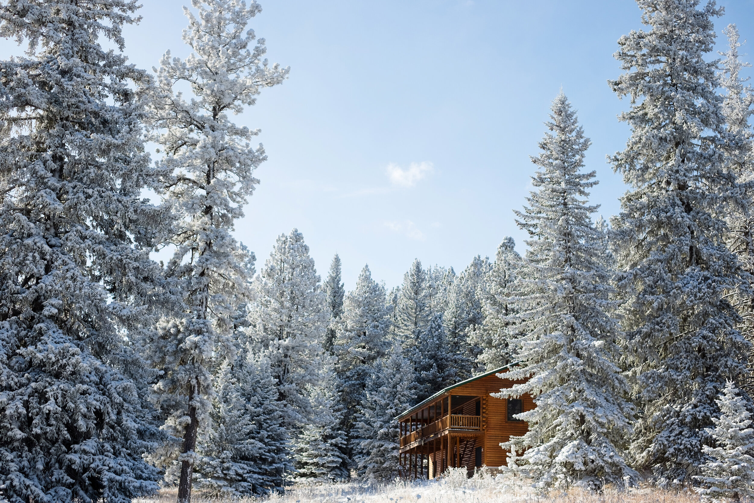 Black Hills Large Group Cabin Rental