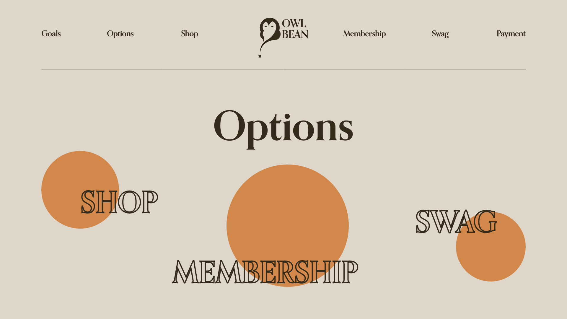 Options – 10.png