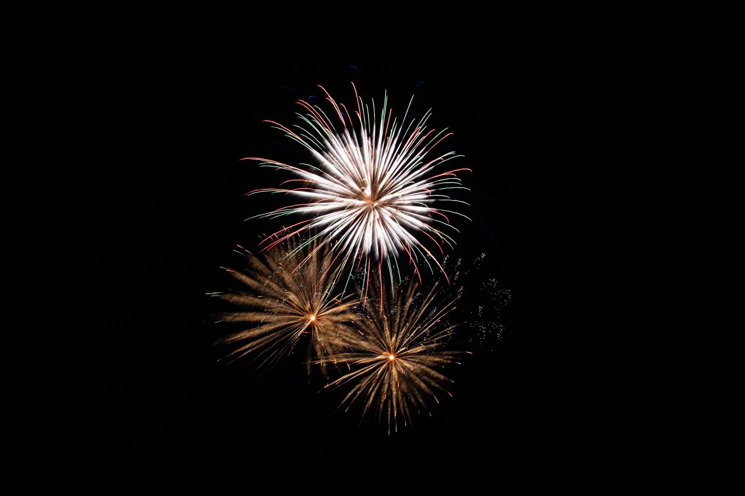 IMG_1495.jpg