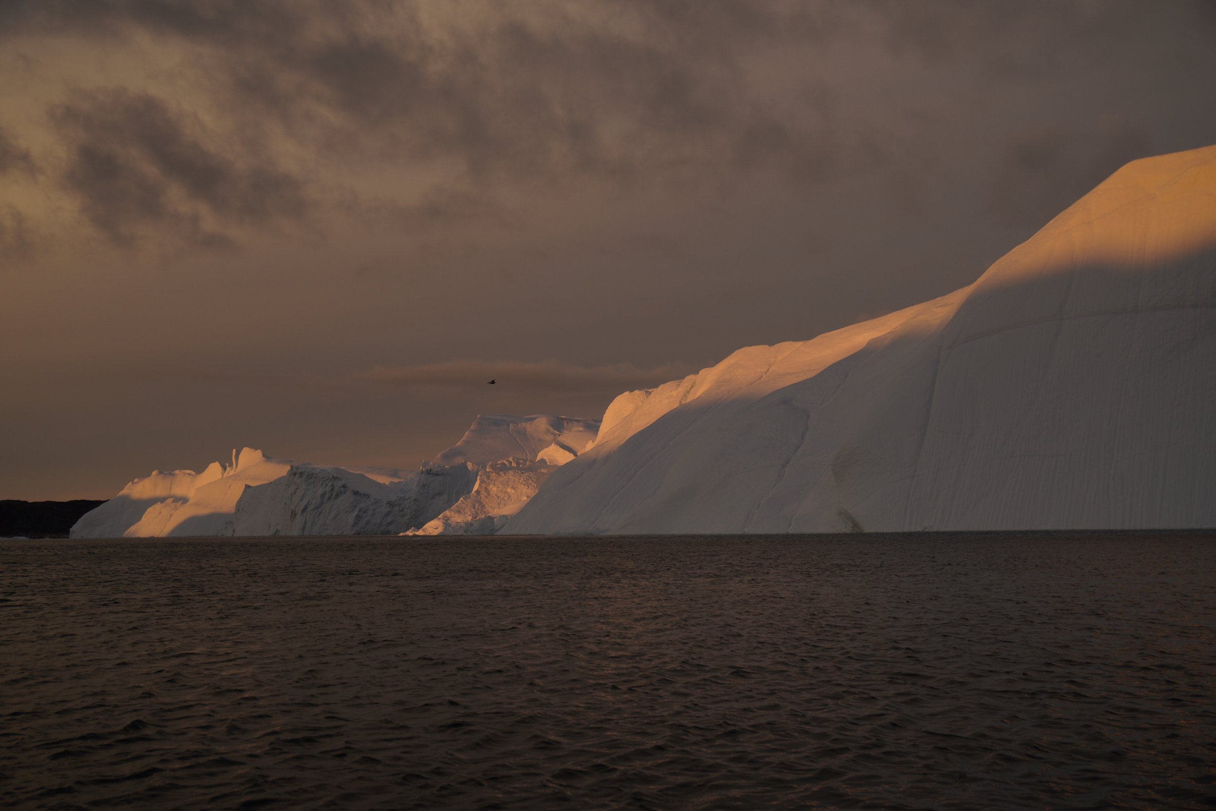 Icefjord Cruise