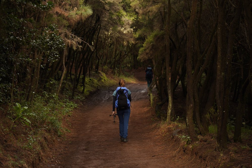 Stage 1 of the GR131 trail in Tenerife