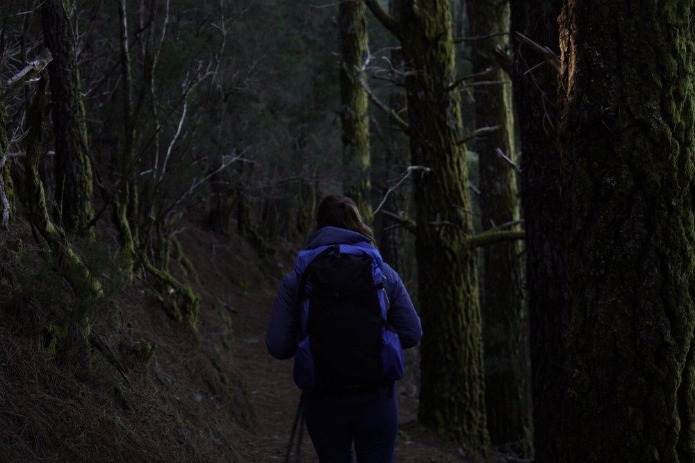 Stage 2 of the GR131 trail in Tenerife