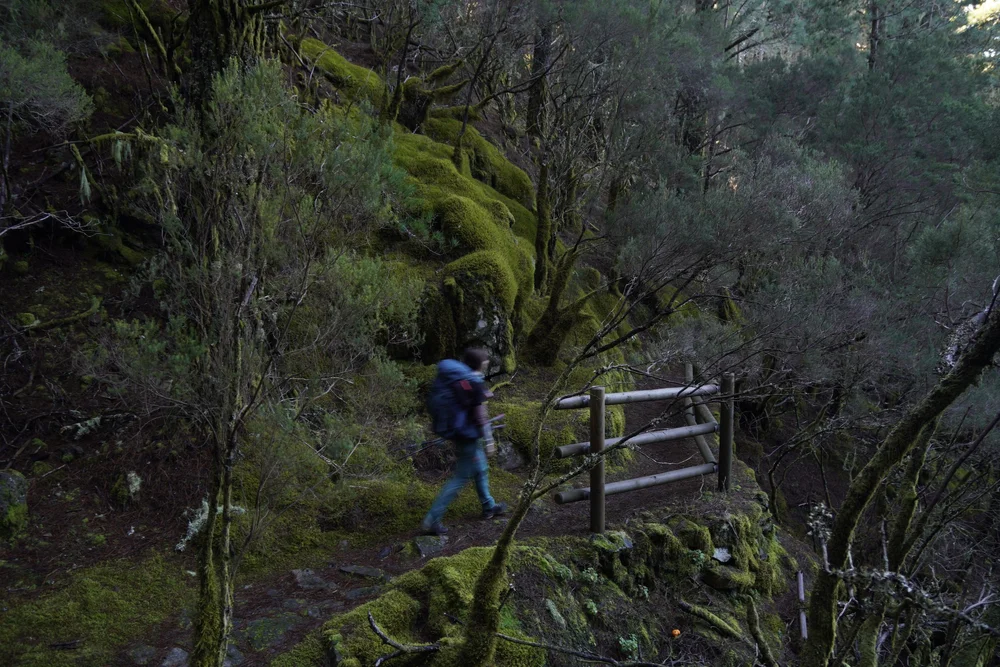 Stage 2 of the GR131 trail in Tenerife