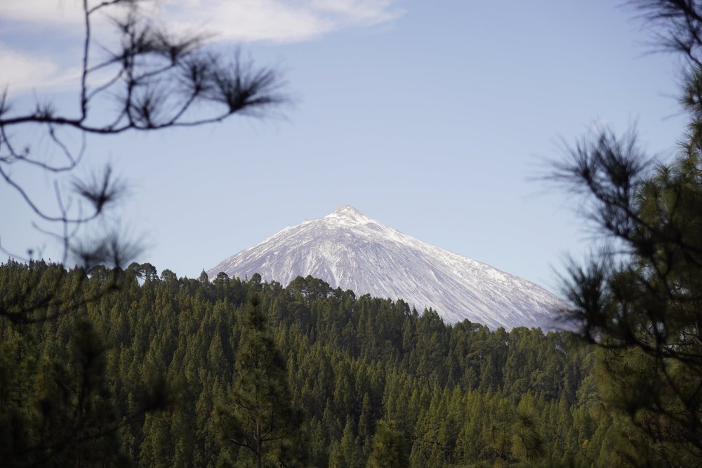 Stage 2 of the GR131 trail in Tenerife
