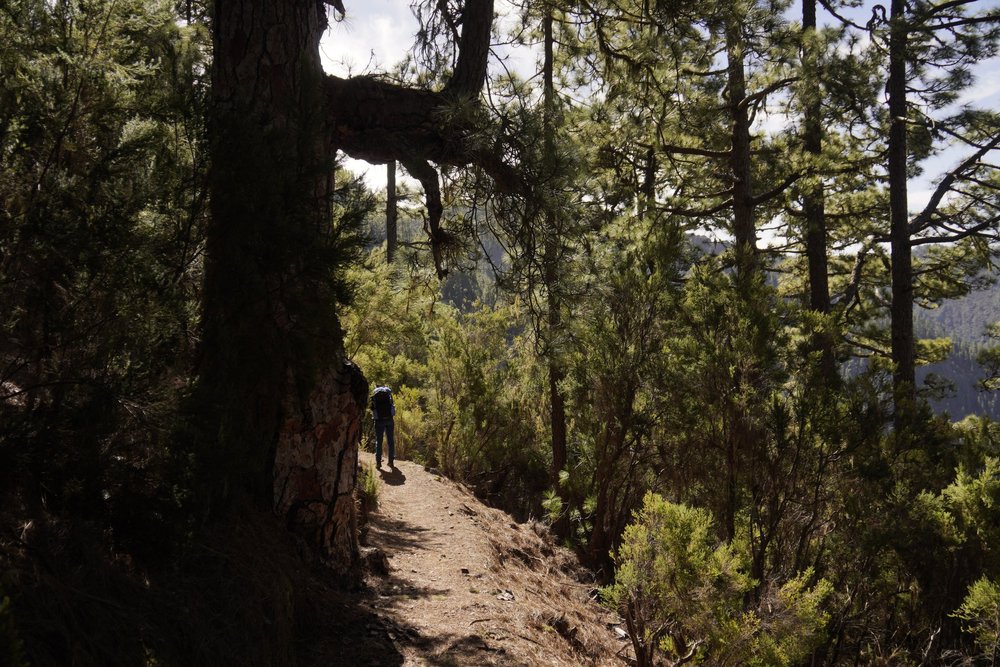 Stage 2 of the GR131 trail in Tenerife