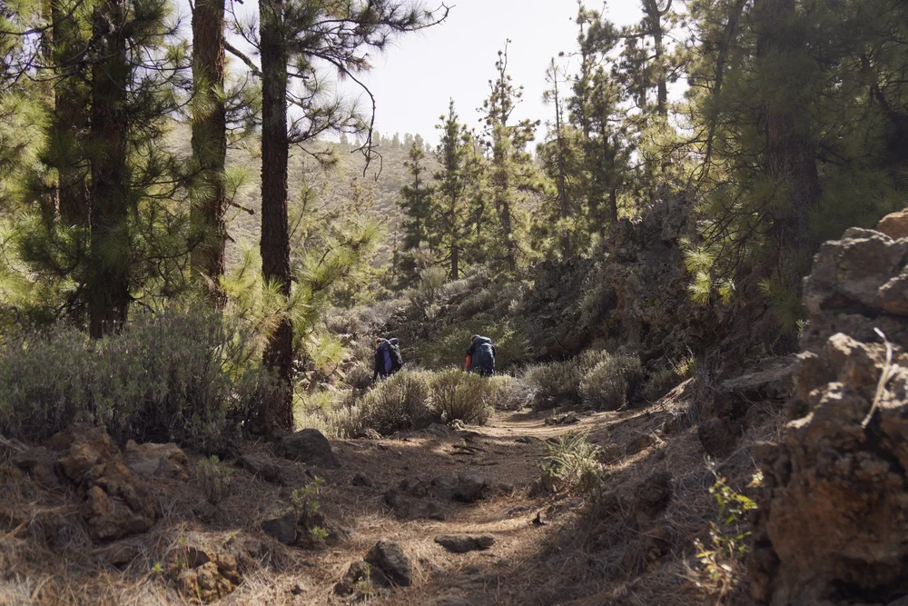 Stage 3 of the GR131 trail in Tenerife