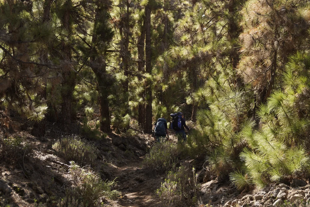 Stage 3 of the GR131 trail in Tenerife