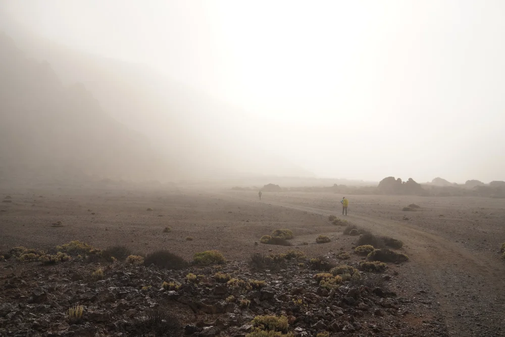 Stage 4 of the GR131 trail in Tenerife