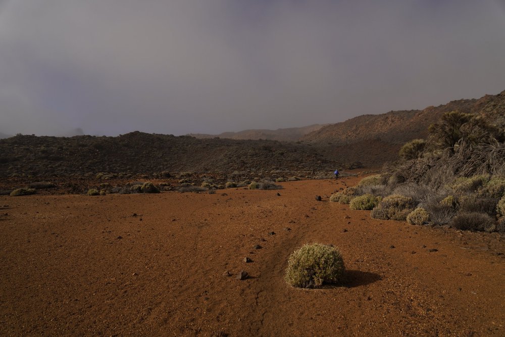 Stage 4 of the GR131 trail in Tenerife