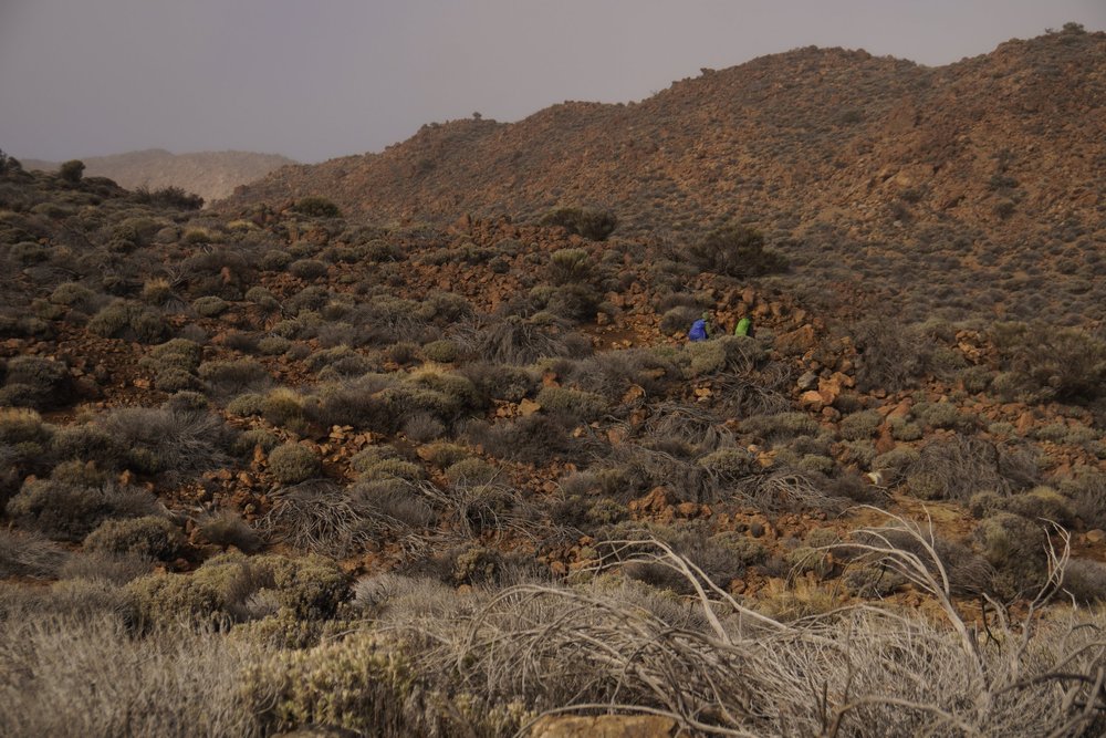 Stage 4 of the GR131 trail in Tenerife