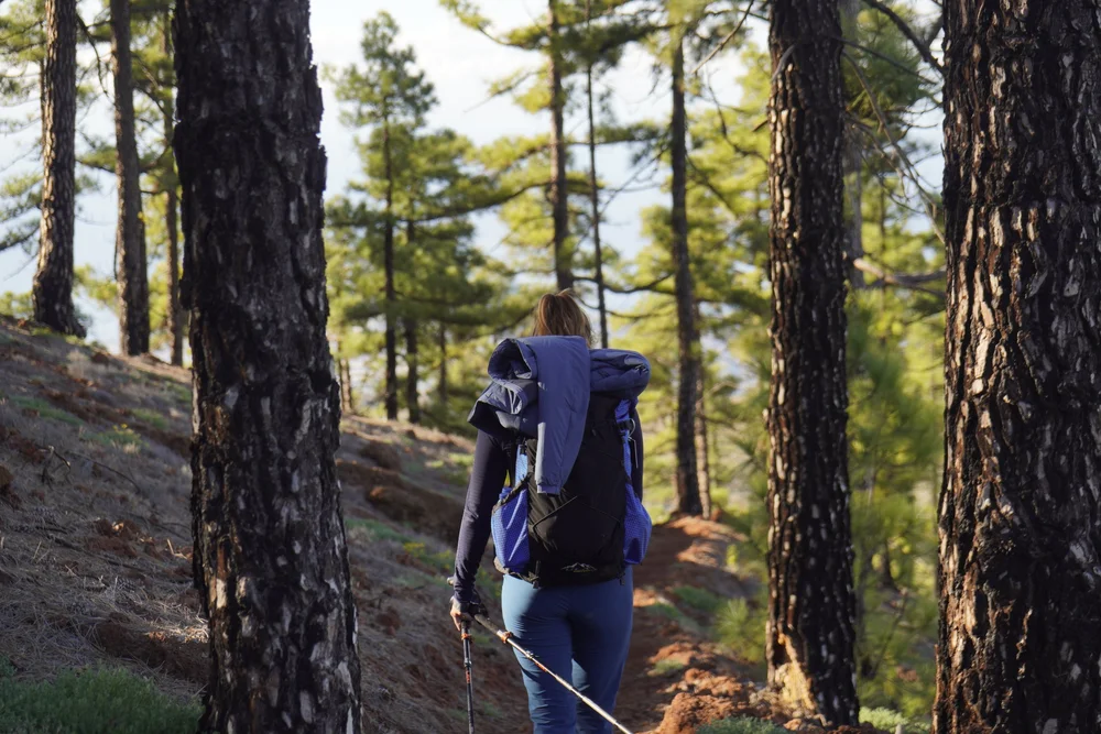 Stage 6 of the GR131 trail in Tenerife