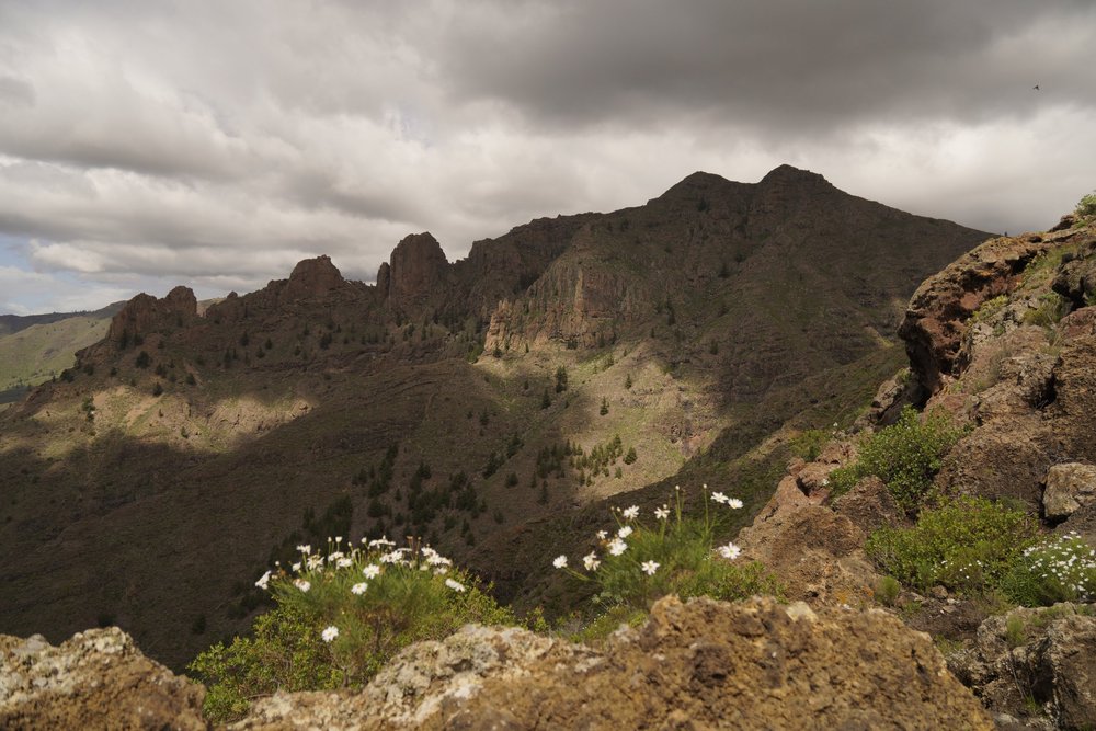 Stage 6 of the GR131 trail in Tenerife