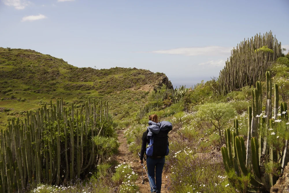 Stage 6 of the GR131 trail in Tenerife