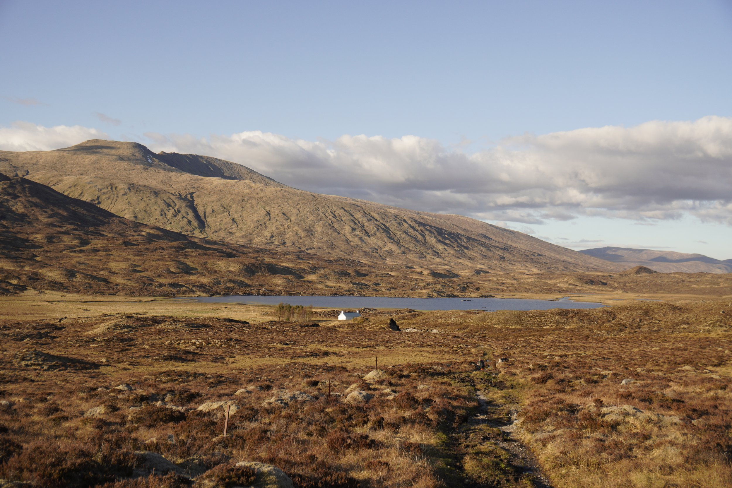 _DSC9647.JPG