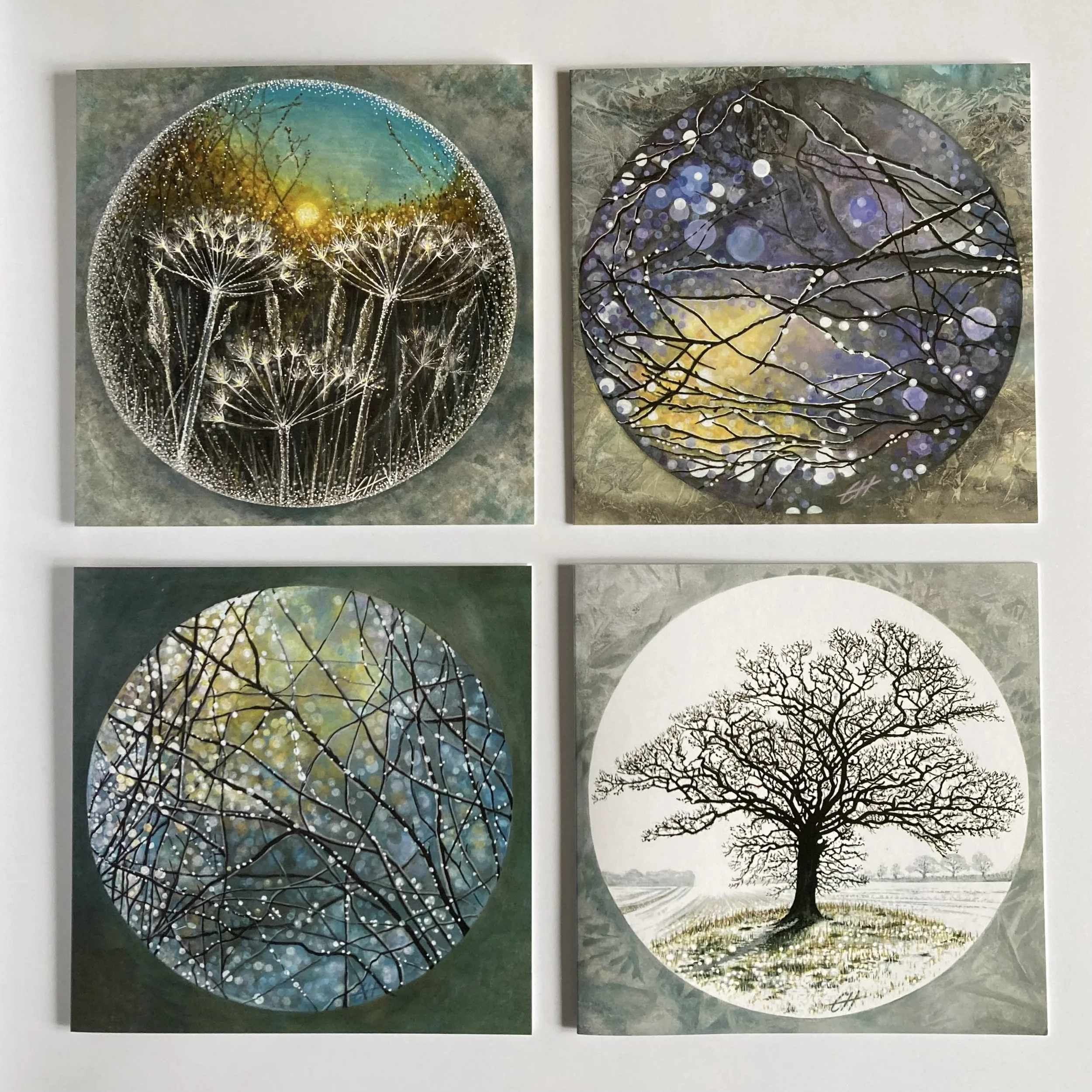 Winter Collection.jpg