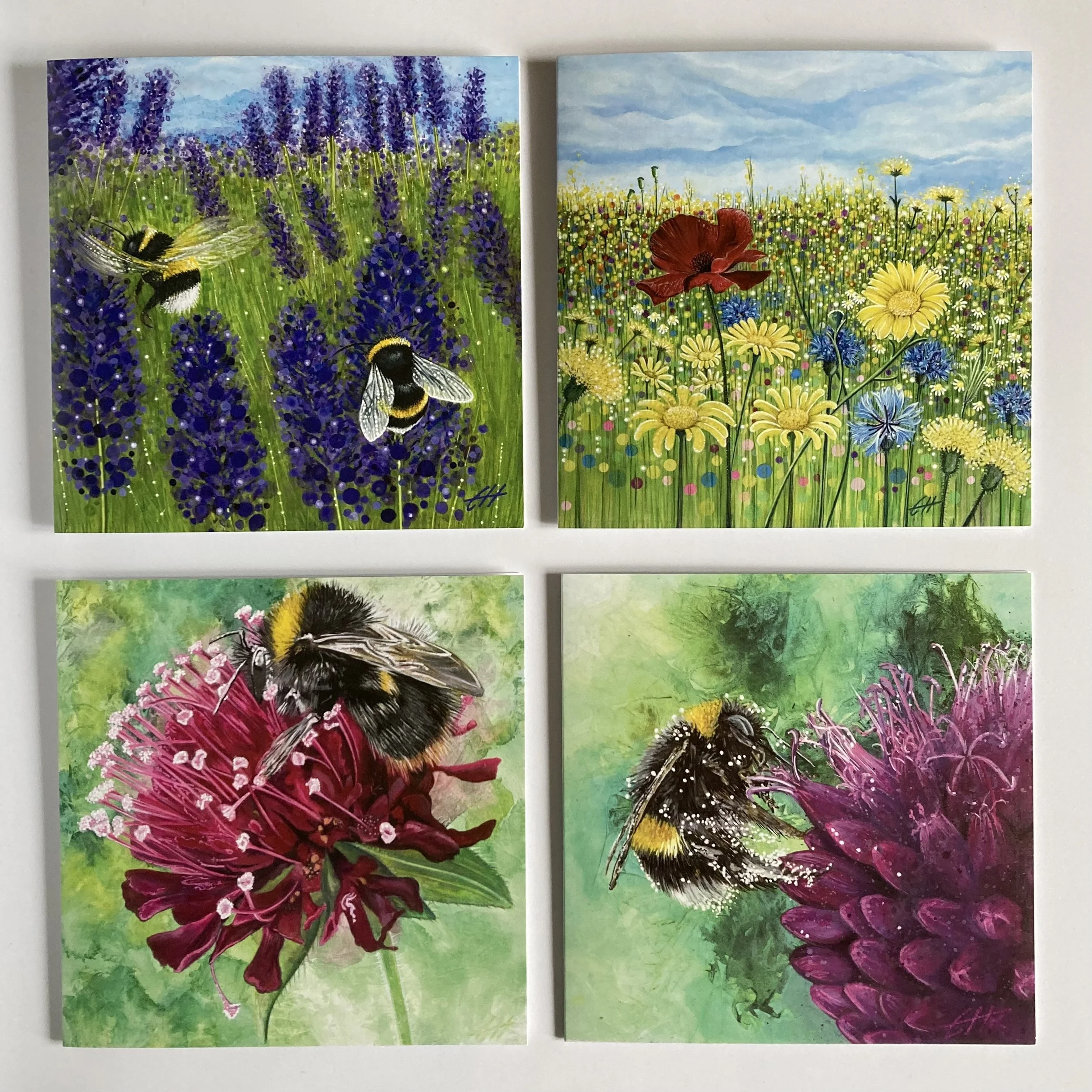 Summer Collection.jpg