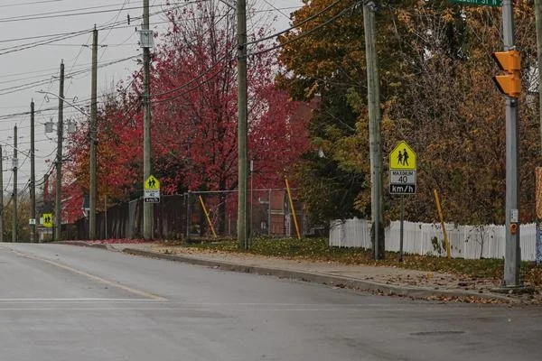 Councillors’ key priorities for those seeking re-election