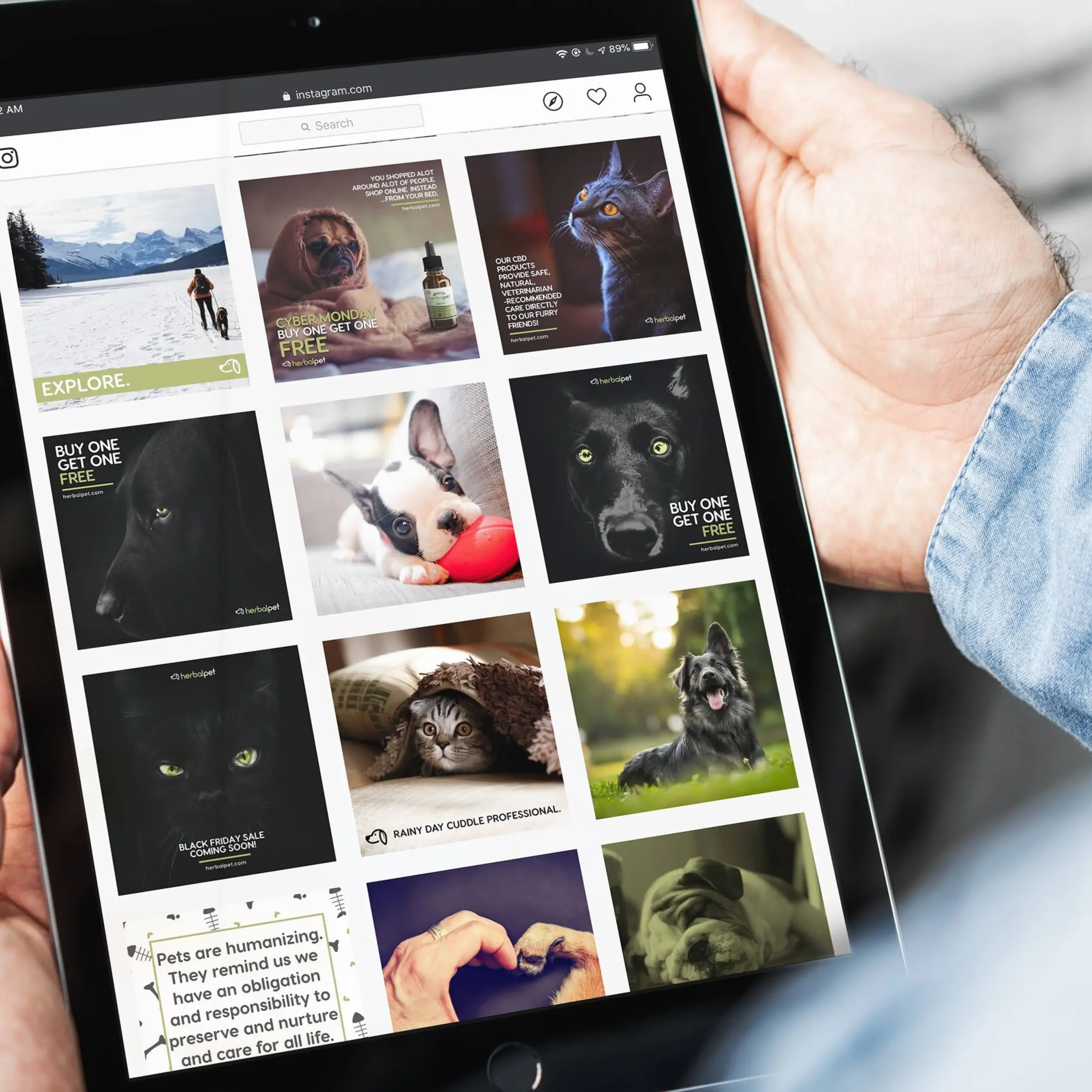ParkerLeeCreative-Social-38.webp