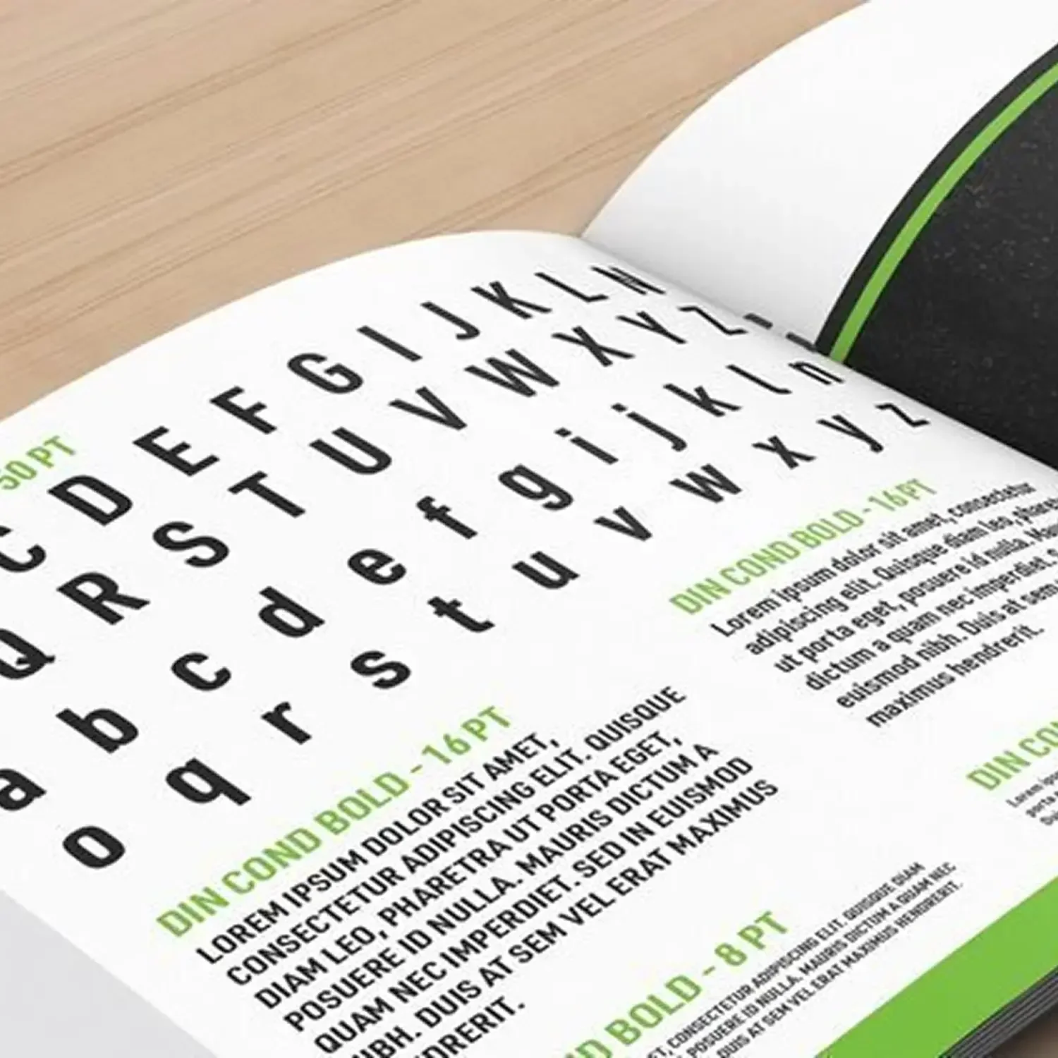 Printed font and brand style guide pages