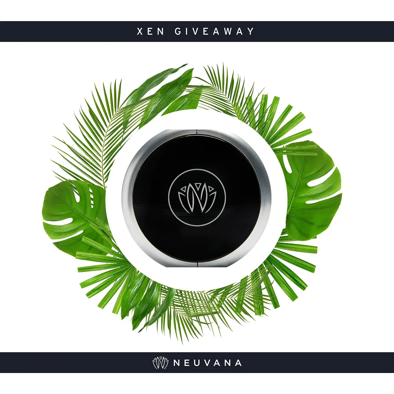 Neuvana Xen tropical giveaway graphic