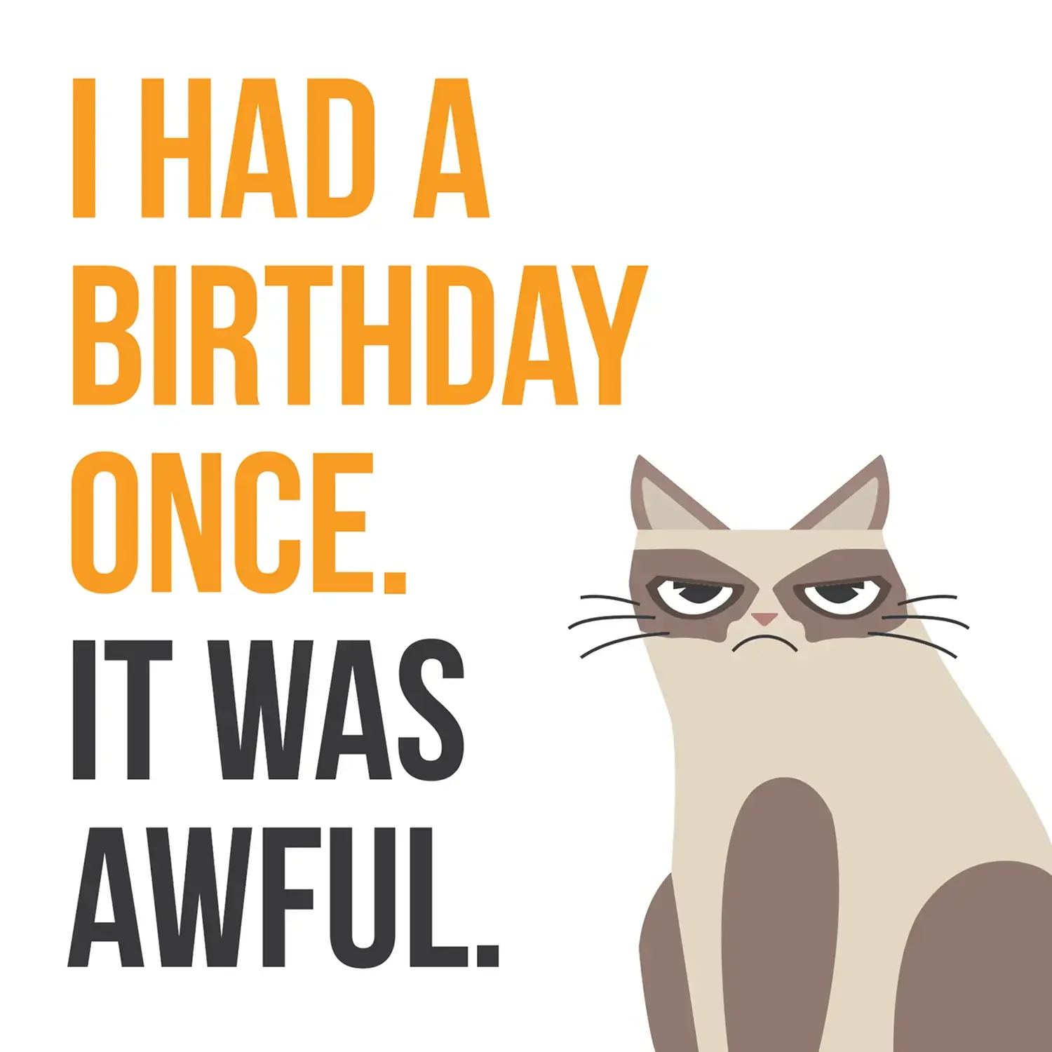 Grumpy Cat birthday poster reading I had a birthday once. It was awful.