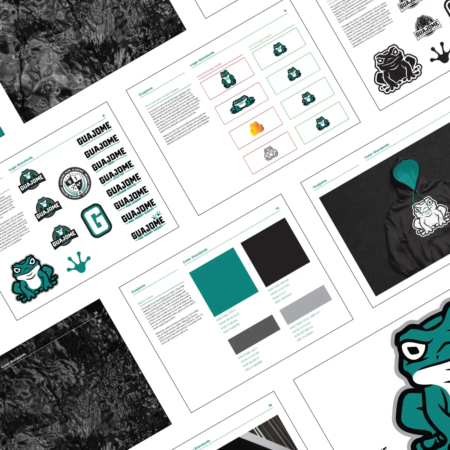 Guajome Park Academy athletics mascot application