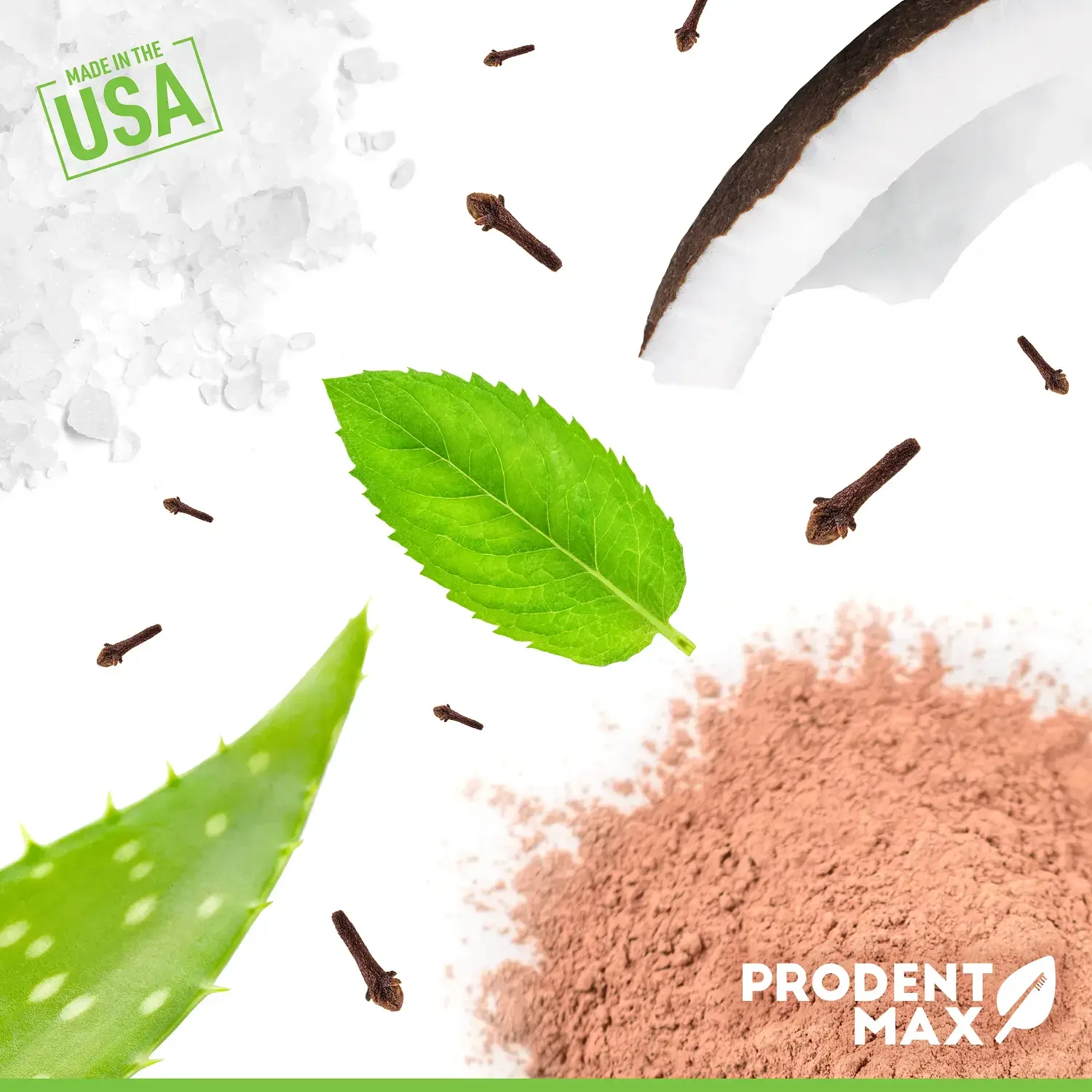 Prudent Max toothpaste ingredient graphic with coconut, mint, aloe, and cloves