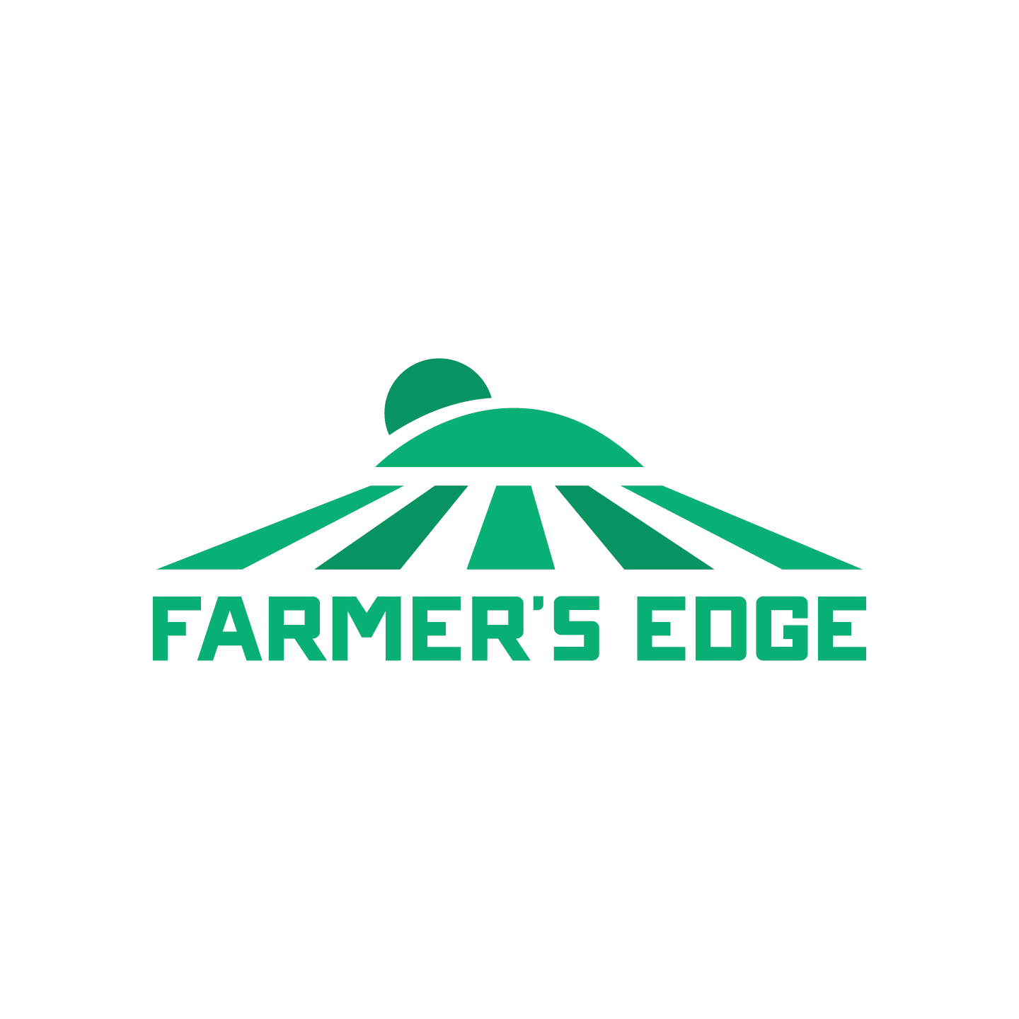 ParkerLeeCreative-LogoDesign-71.webp
