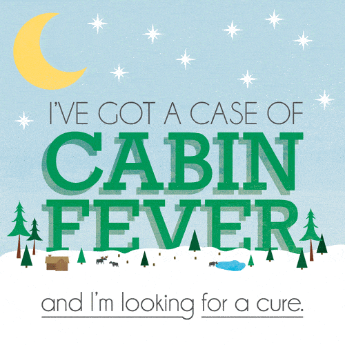 Cabin fever poster design reading 'I've got a case of cabin fever' with teal text, cabin illustration and tagline 'and it's looking to cure' on white background with teal border.