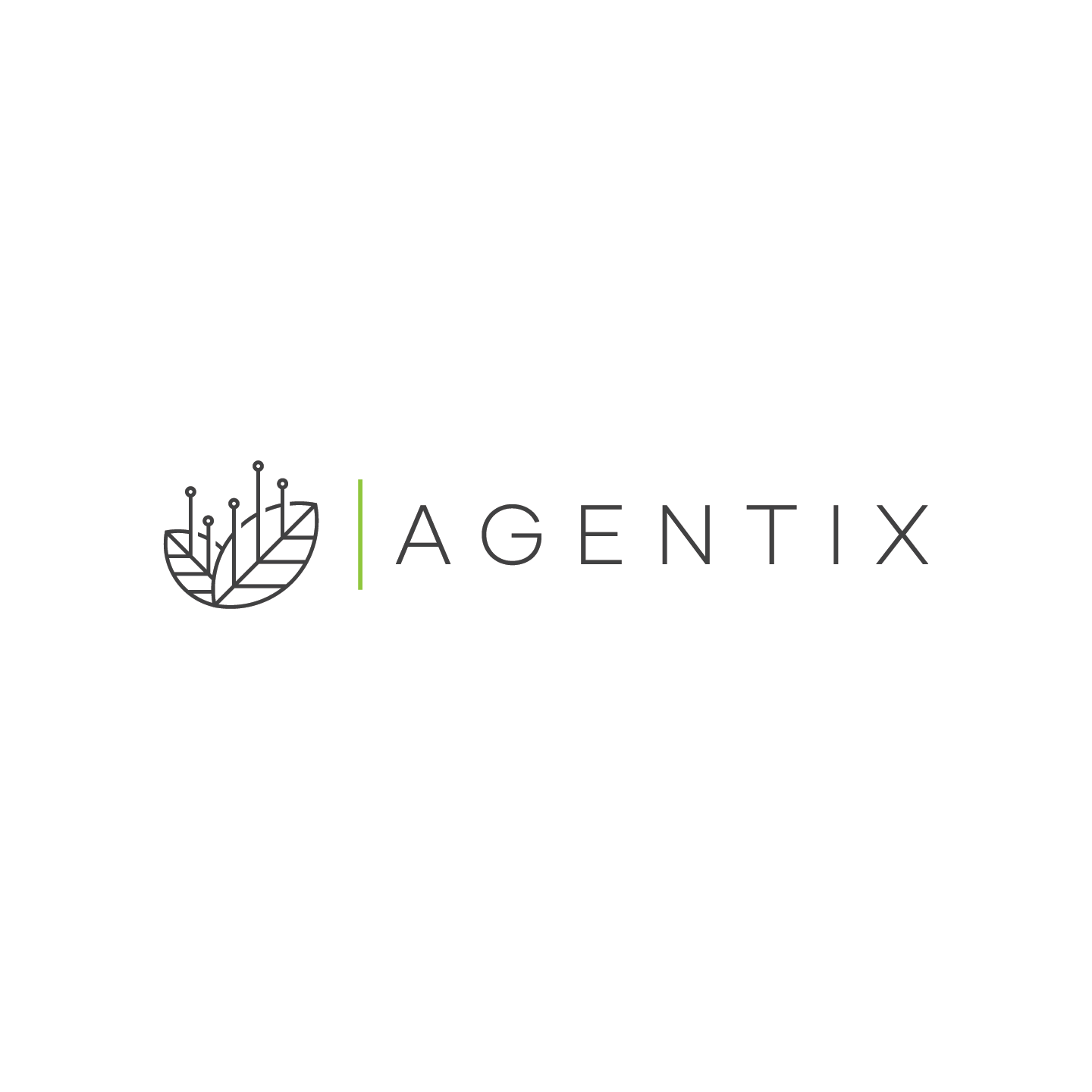 ParkerLeeCreative-LogoDesign-214.webp