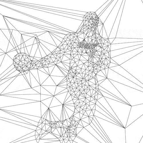 Wireframe 3D model of a human figure made of interconnected lines and triangles.