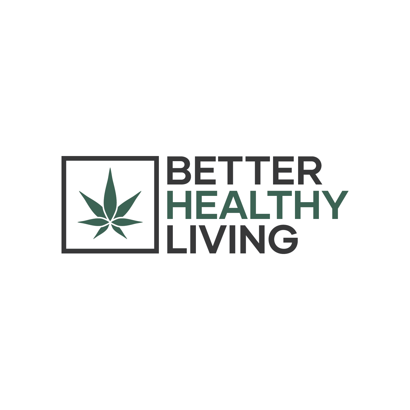 ParkerLeeCreative-LogoDesign-221.webp
