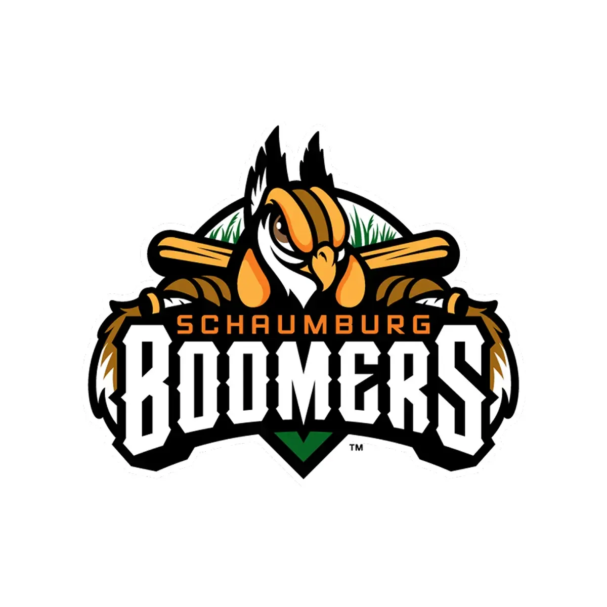 Schaumburg Boomers logo for the Graphic Design Intern role