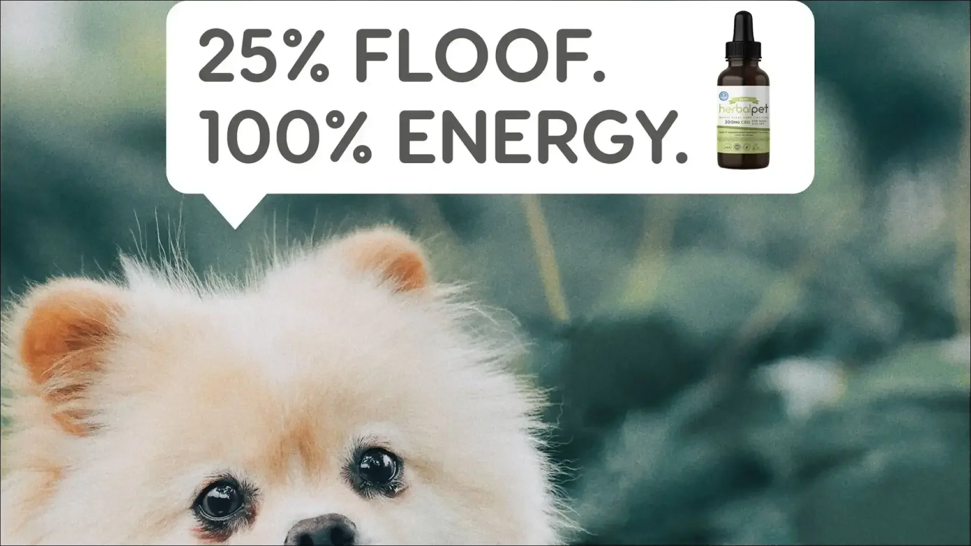Fluffy puppy ad reading “25% floof. 100% energy.” beside a dropper bottle.