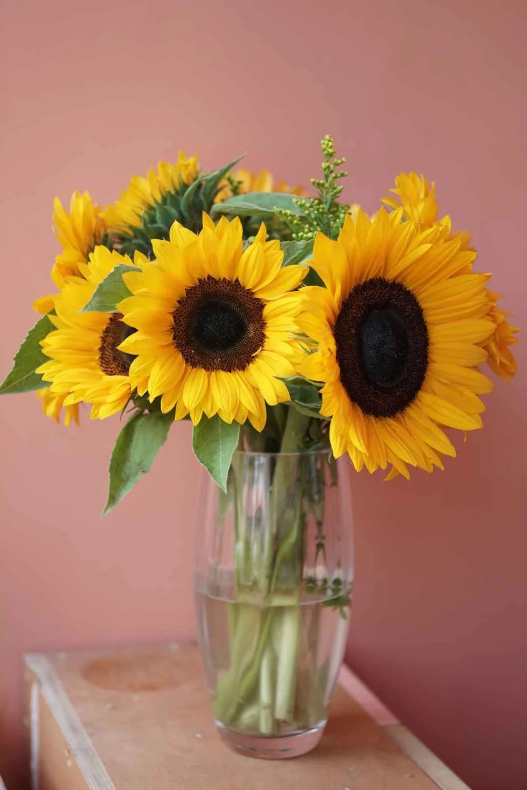 Vase of sunflowers against a peachy terracotta wall