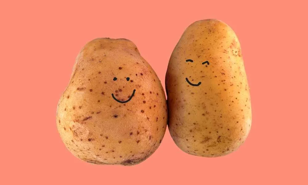 Two potatoes with little faces drawn on them, hanging out, smiling at each other